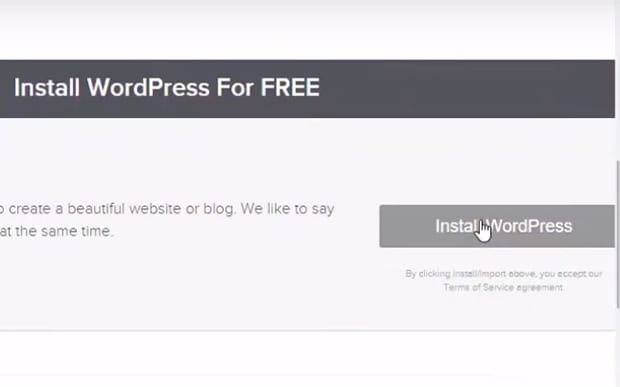 Click Install WordPress