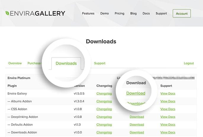 After logging into your Envira Gallery account you can download the main Envira Gallery plugin in the Downloads tab.