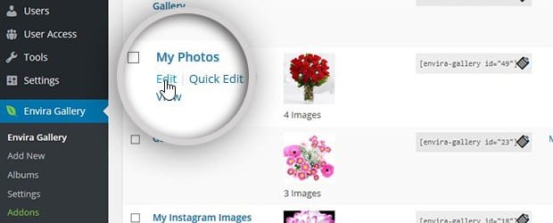How to Edit Image Gallery