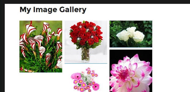 Image Gallery Appears At Website