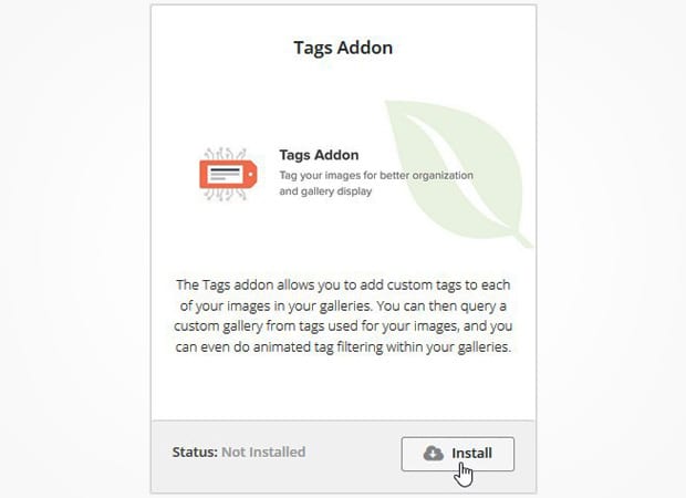 WordPress tag images with Tags Addon