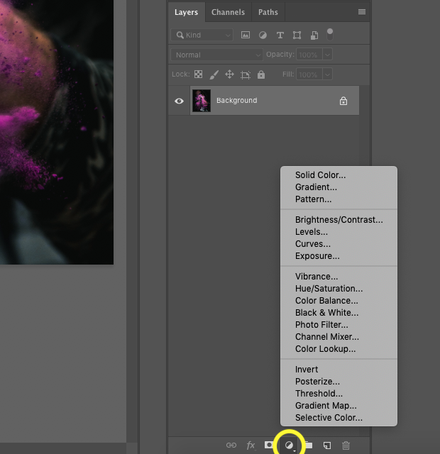 Close up screenshot of Photoshop's Adjustment Layer option selected and highlighted with yellow circle