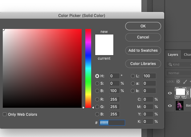 Photoshop's color picker box