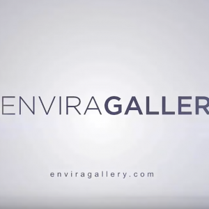 Envira Gallery overview